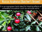 Clinical Daily Suplemento para la Circulación Sanguínea con Butchers Broom, Horse Chestnut, Cayenne, L-arginina y Diosmina - 90 Cápsulas