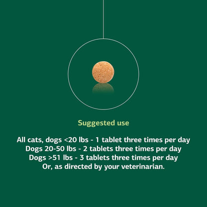 Standard Process VF Thymex para Mascotas - Suplemento de Apoyo al Timo para Perros y Gatos - 90 Comprimidos – Image 5