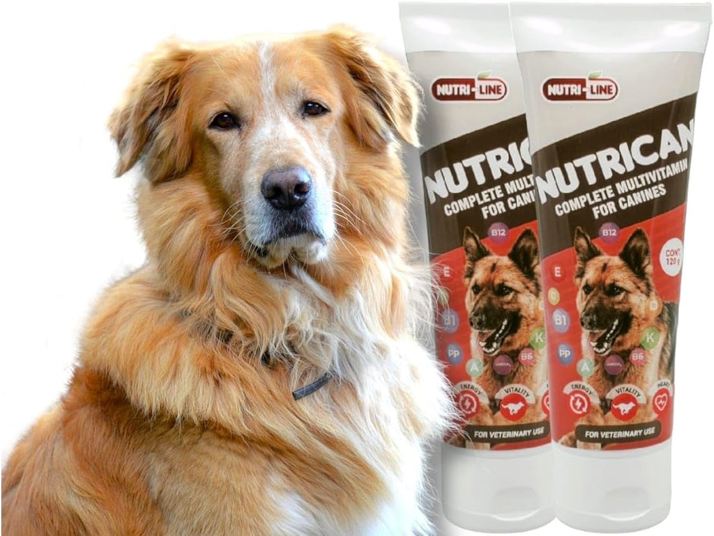 Nutrican Supplement Multivitamínico para Perros - Gel Nutricional, 120 g
