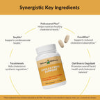 Apoyo al colesterol – Bienestar natural – 90 Comprimidos