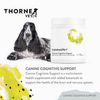 ThorneVet Canine Cognitive Support Powder - Apoyo Cognitivo para Perros Mayores (90 Dosis)