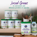 Garden of Life Raw Organic Perfect Food Alkalizer y Detoxifier, Sabor Limón Jengibre, Polvo Superfood, 30 Porciones
