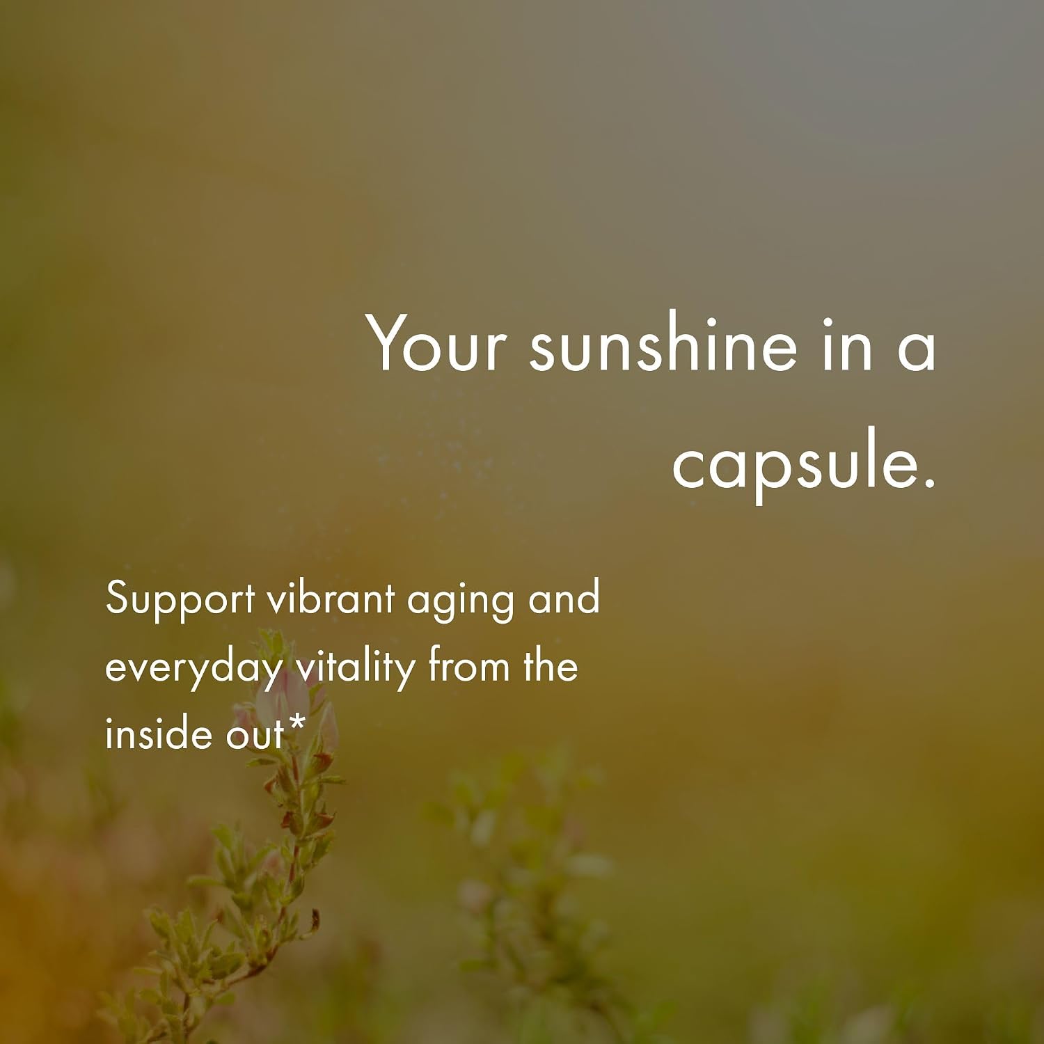 NAOMI Activated Vitamin D3 5000 IU + Magnesium 250mg - Apoya la Salud Ósea, Inmunidad y Relajación Muscular