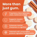 NeuroGum Energy & Focus, Canela, 12 Paquetes, 9 Piezas Cada Uno