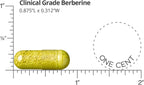 Dr. Whitaker Clinical Grade Berberine | 1500 mg per Daily Dose | 30 Day Supply