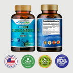 Células Madres - Cápsulas de Alga Azul-Verde Orgánica, 2 Paquetes, 1000 mg, 240 Cápsulas