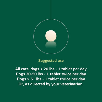 Standard Process VF Antronex para Mascotas – Suplemento Hepático para Perros y Gatos (90 Comprimidos) – Image 5