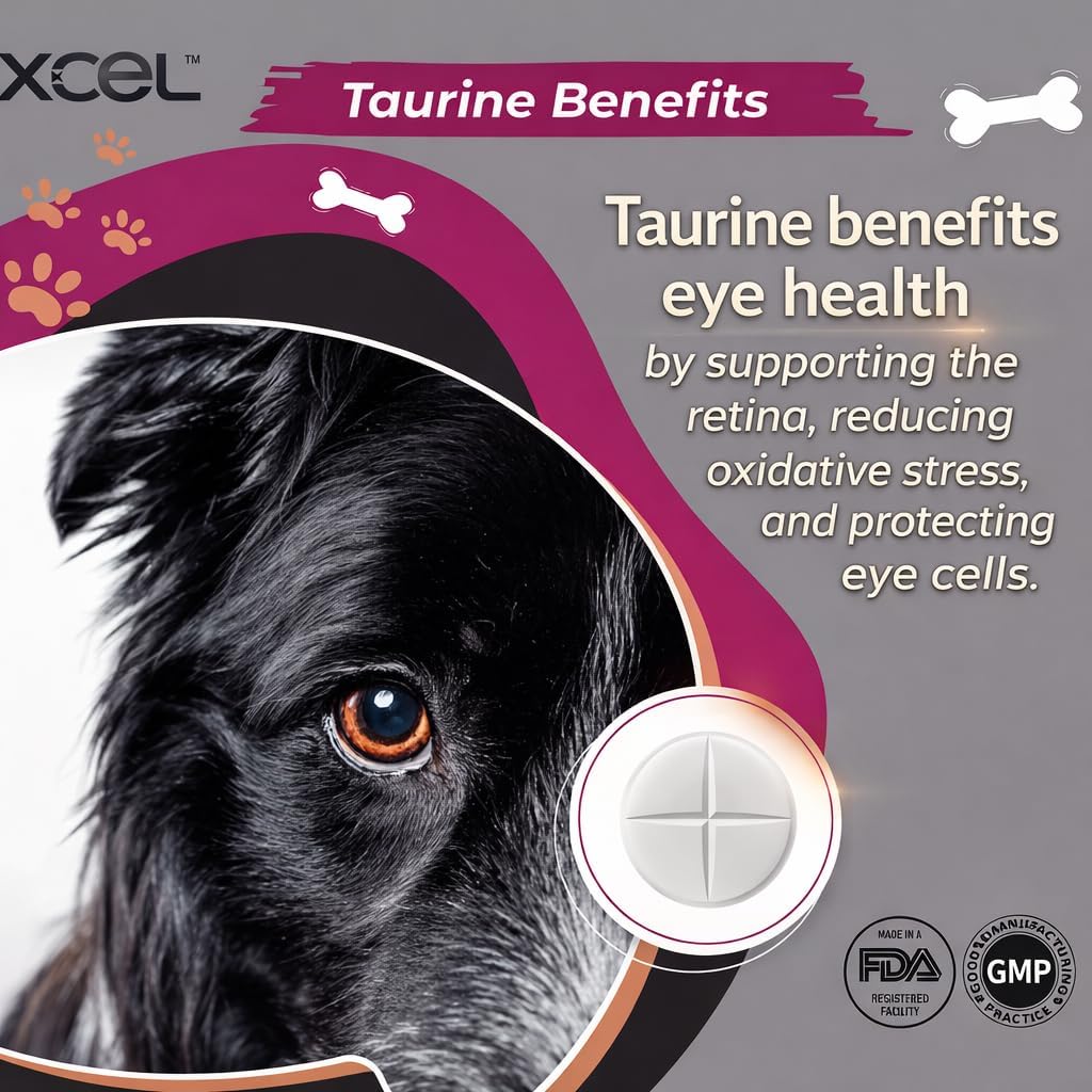 XCEL Taurina para Perros 1000 mg con L-Carnitina, Comprimidos Ranurados (250 mg por sección)