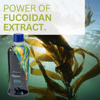 Youngevity ZRadical™ Fucoidan - Extracto orgánico de fucoidan Maritech con cofactores (vitamina C, B12, B6, pitahaya, goji, cardo mariano) - Apoyo inmunitario - Superantioxidante 946 ml (paquete de 4)