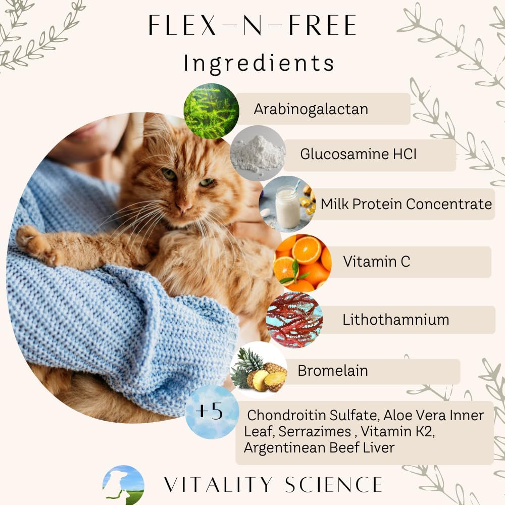 Flex N Free para perros – Suplemento natural para las articulaciones (220 g)