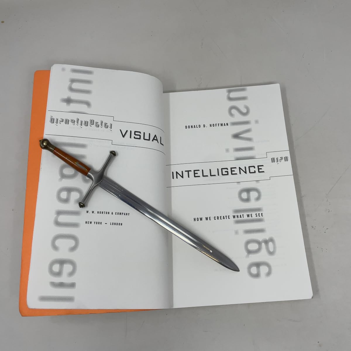 Visual intelligence: How we create what we see