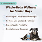 Natural Dog Company Aceite de Pescado Omega 3 para Perros Senior – Con Cúrcuma y Aceite de Salmón, Apoyo a la Movilidad, Piel y Pelaje, 473 ml