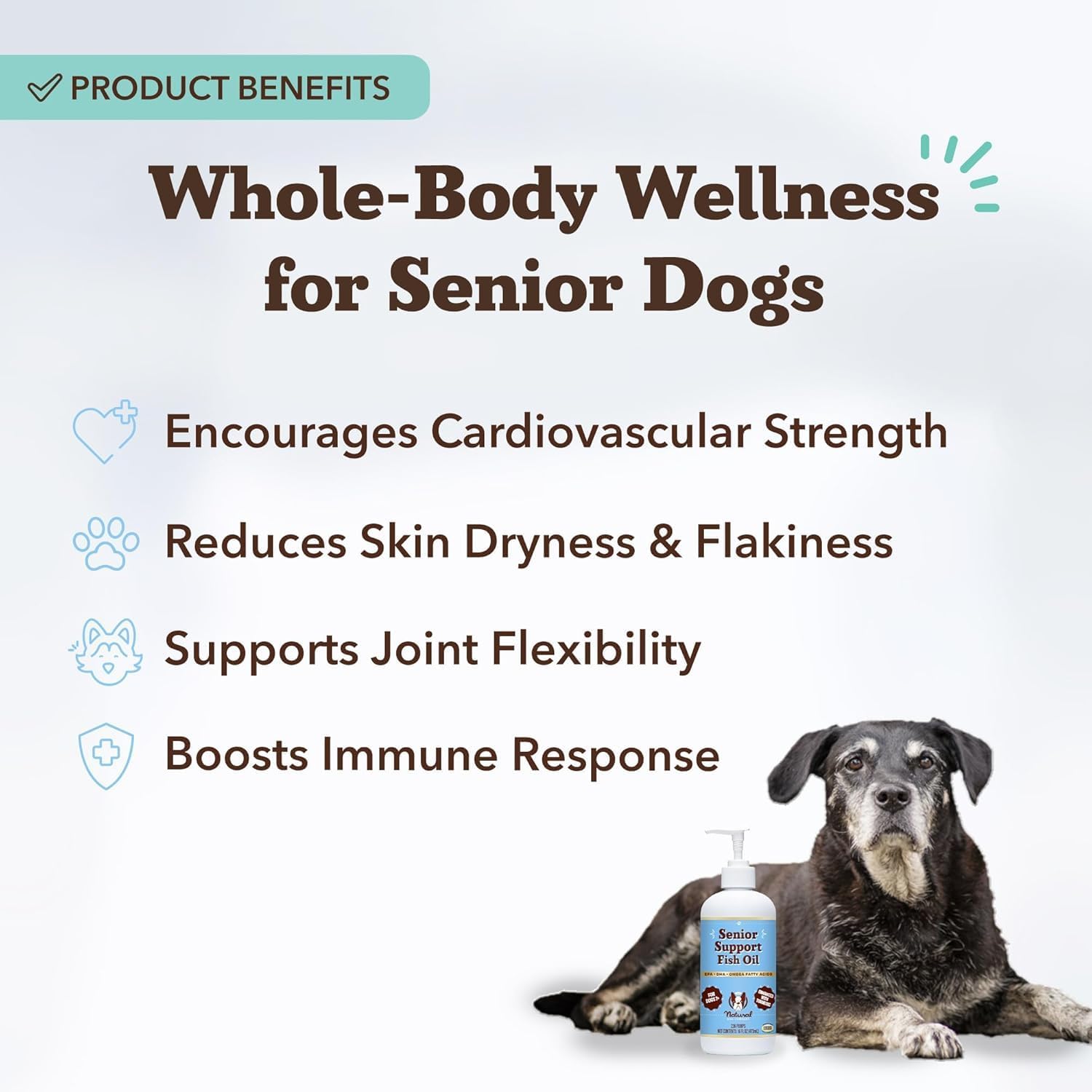 Natural Dog Company Aceite de Pescado Omega 3 para Perros Senior – Con Cúrcuma y Aceite de Salmón, Apoyo a la Movilidad, Piel y Pelaje, 473 ml