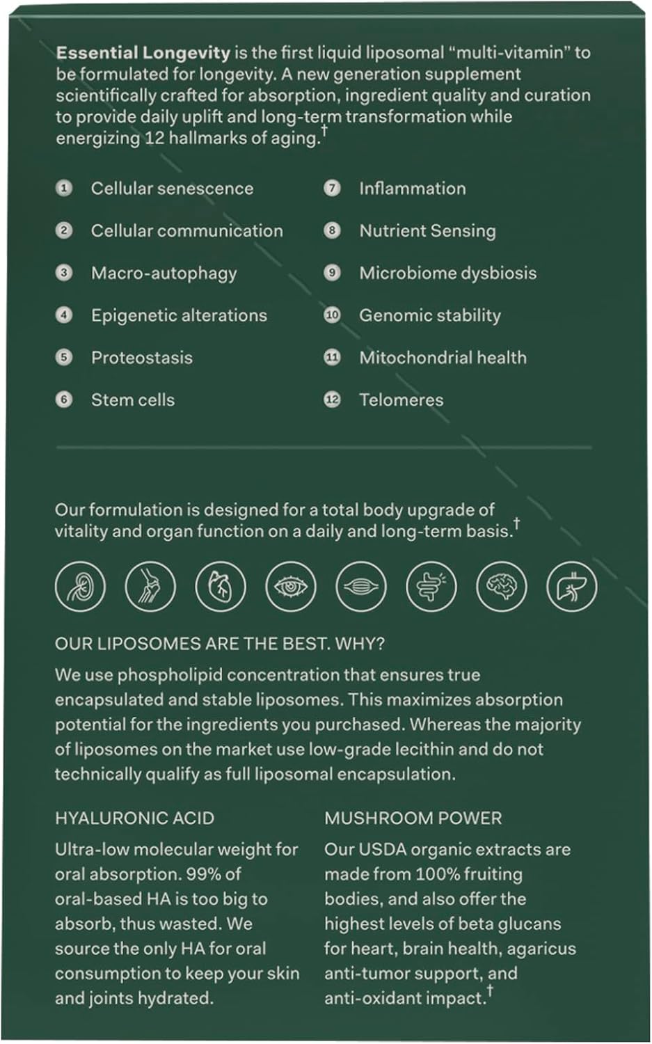 Essential Longevity® — 100% Liposomal 15-in-One Stack. NAD+ Precursor Nicotinamida, Quercetina, C, D3, B12, Magnesio Glicinato, Melena de León, Chaga, Agaricus, Taurina, Hialuronato Sódico. 30 Sobres.