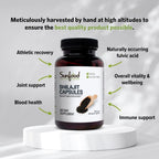 Sunfood Superfoods Natural Shilajit Capsules - Himalayan Extract with Fulvic Acid, 90 Capsules