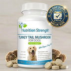 Nutrition Strength Cola de Pavo Orgánica para Perros - 500mg de Alta Potencia - Apoyo Inmunológico - Salud Celular - 120 Comprimidos Masticables