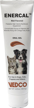 ENERCAL Gel Oral Sabor Malta 120 g