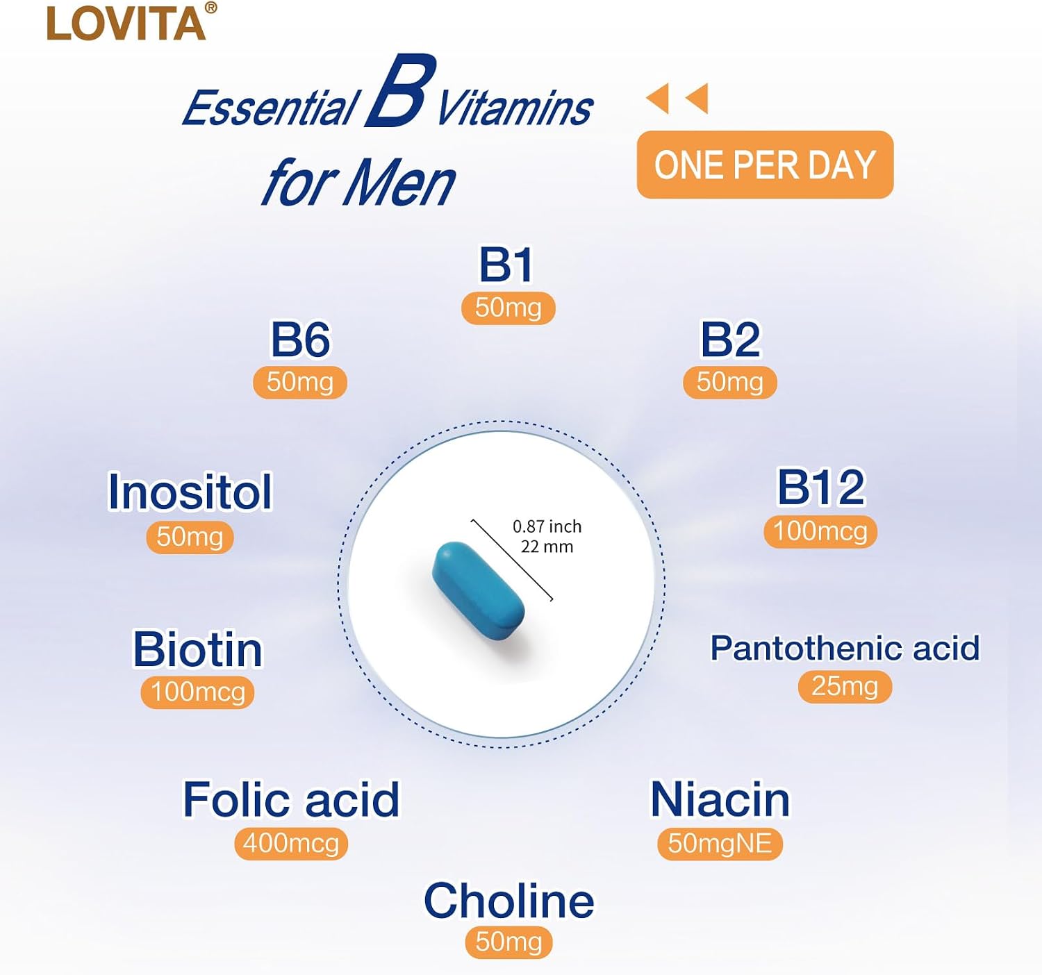 LOVITA Timed-Release B Complex for Men – 10 Vitamin Bs, Vegetarian Tablets (60 Count)