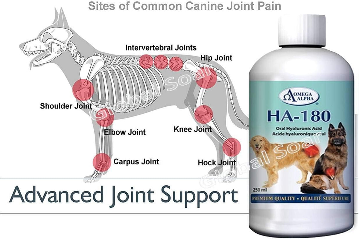 Omega Alpha HA-180 Ácido Hialurónico para – Movilidad articular: puede contribuir a la lubricación y amortiguación – Image 7