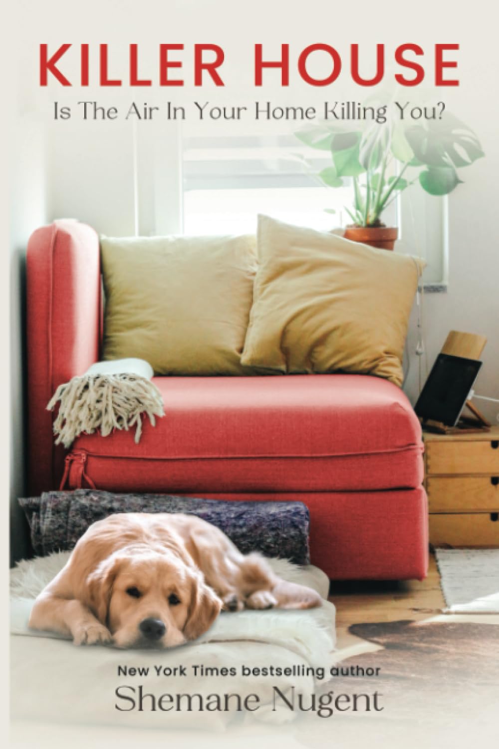 Killer House: Is The Air In Your House Killing You? - görsel 1