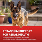 Vetoquinol Renal K - Suplemento de potasio en polvo para perros y gatos