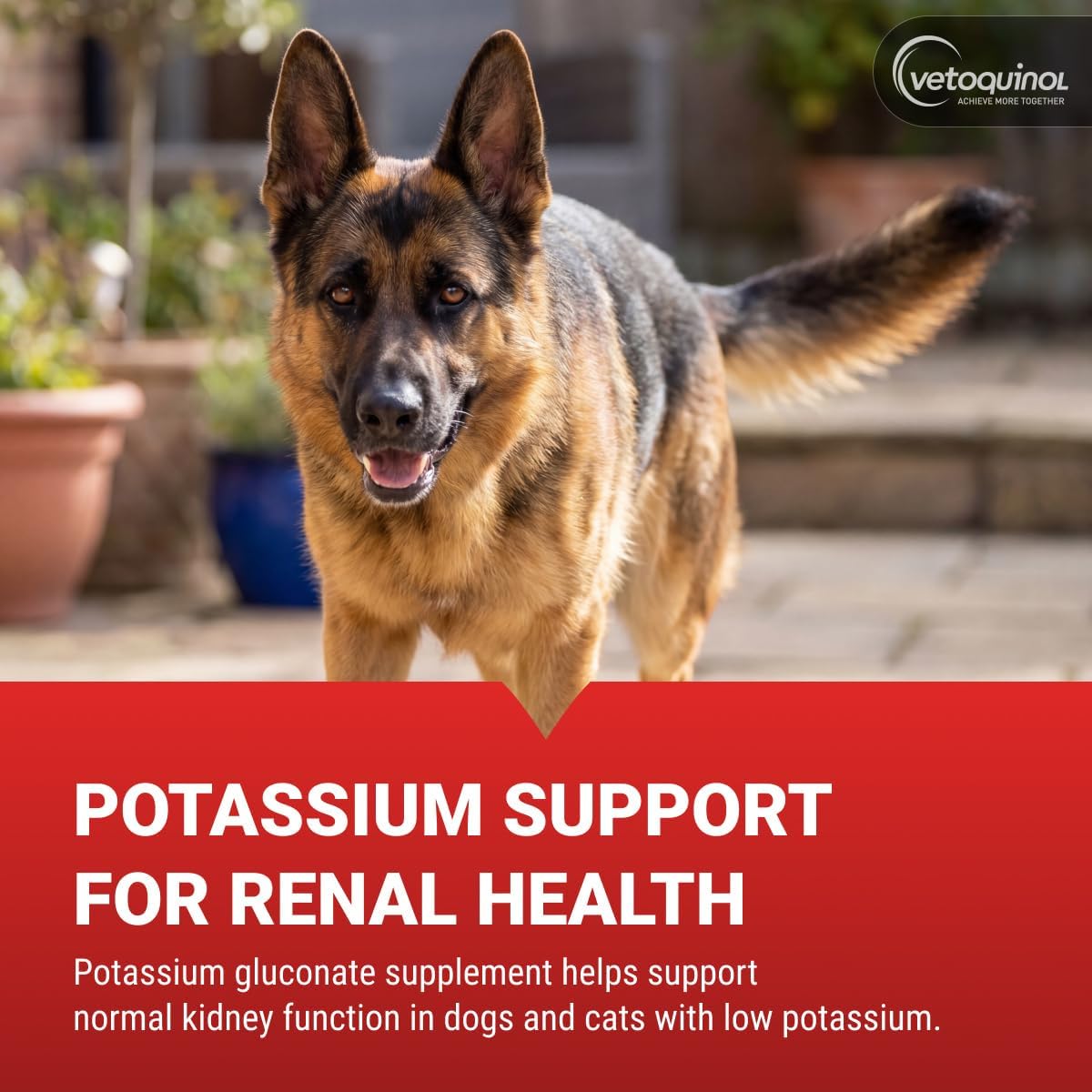 Vetoquinol Renal K - Suplemento de potasio en polvo para perros y gatos