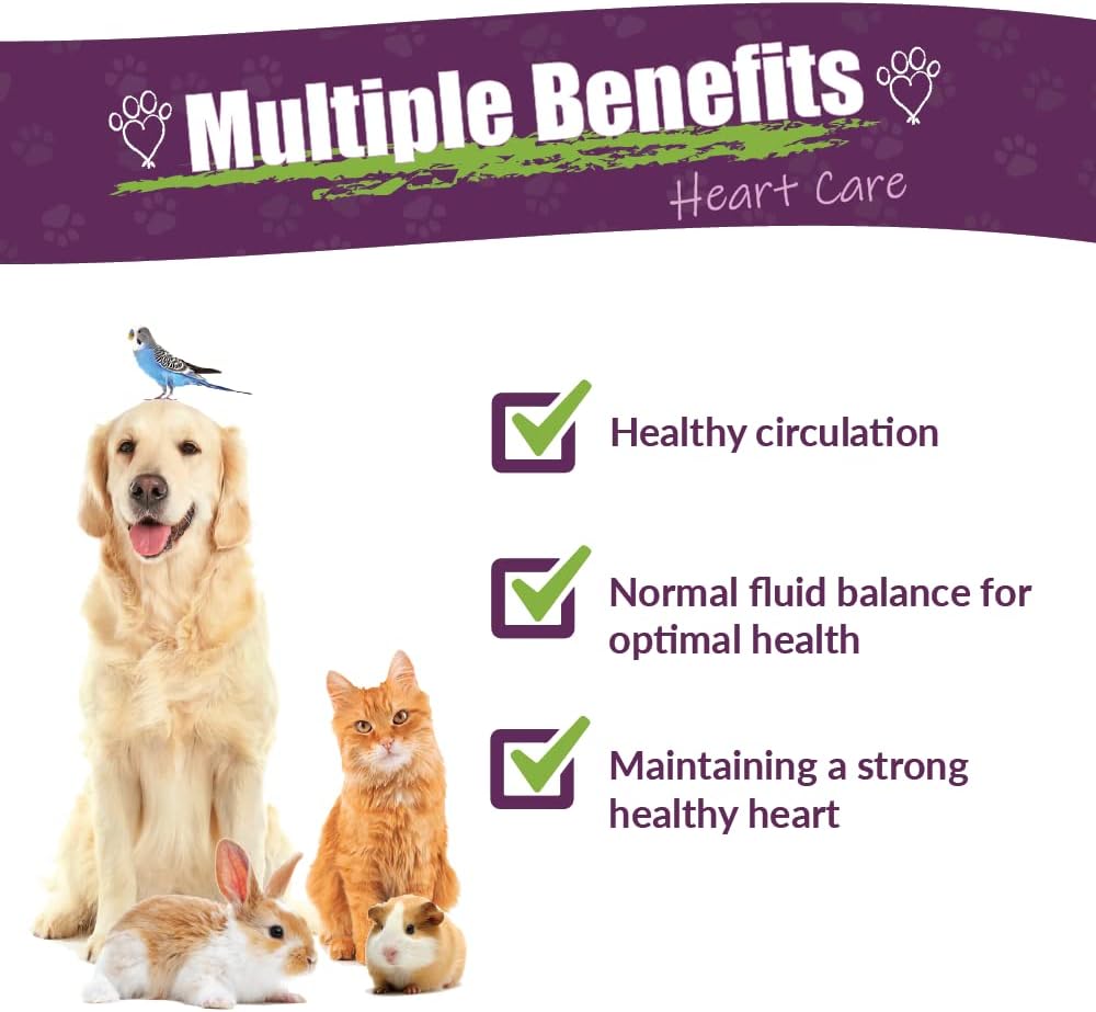 Amber NaturalZ Suplemento Herbal de Espino Blanco y Diente de León para Mascotas | Apoya la Salud Cardíaca y Circulación | 118 ml