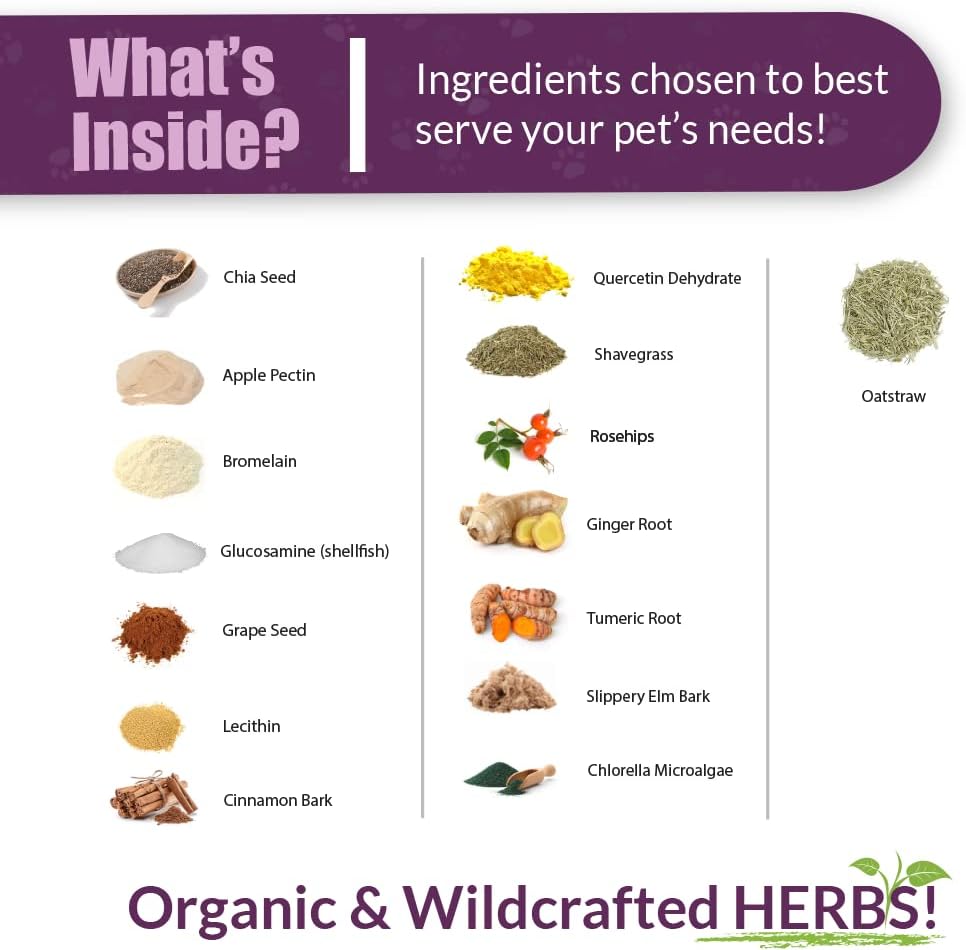 Amber NaturalZ Carticil Plus Suplemento Herbal para Perros - Apoyo Multisistémico (60 Días para Perros Medianos)