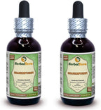 Extracto Líquido de Shankhpushpi (Convolvulus Pluricaulis) - HerbalTerra (20 x 120 ml)