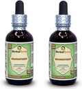 Shankhpushpi, Vitex Herradura (Convolvulus Pluricaulis) Planta Entera Seca, Extracto Líquido Sin Alcohol (Marca: HerbalTerra) 2x60 ml