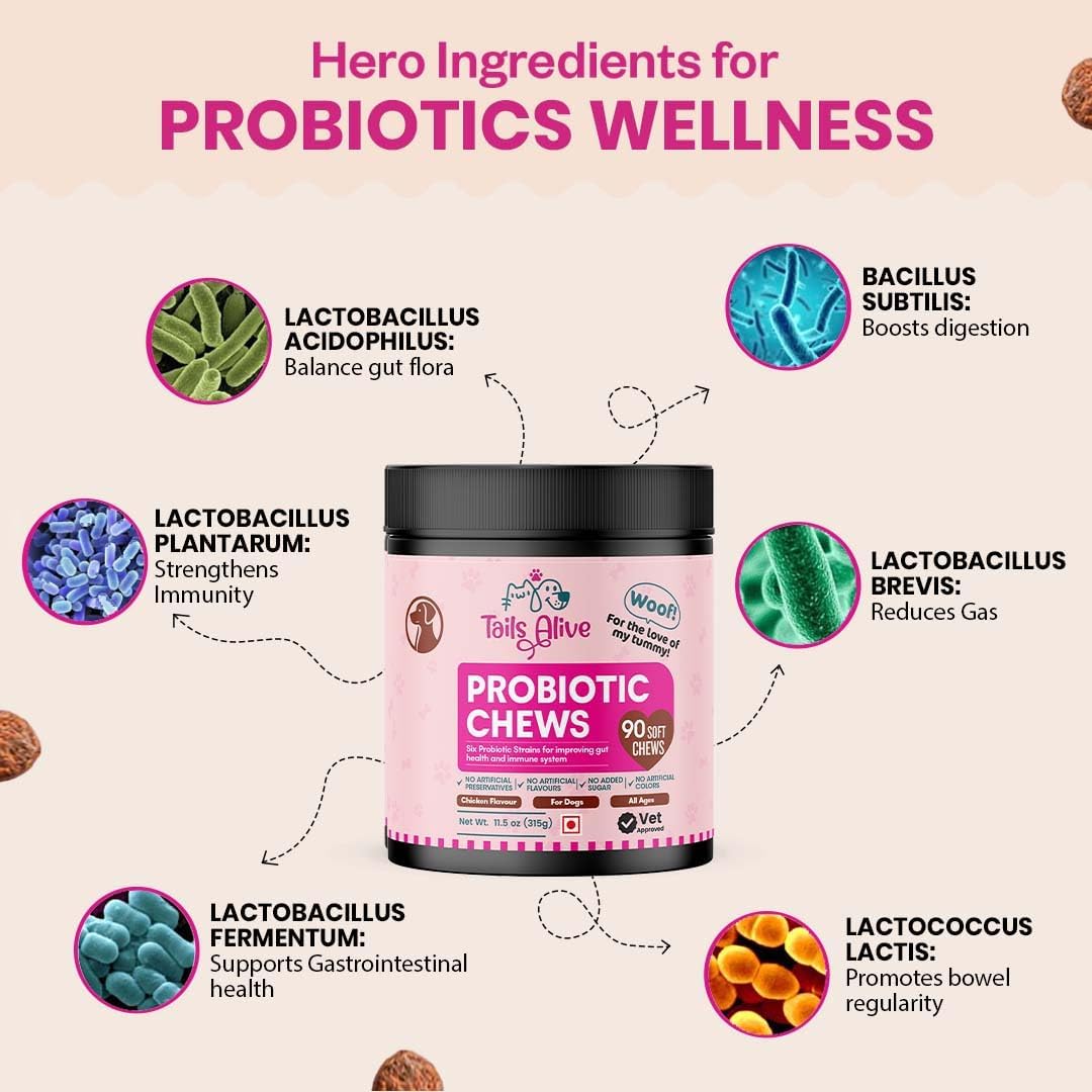 Masticables Probióticos para Perros | Seis Cepas Probióticas | Salud Digestiva e Inmunológica | Sabor Pollo | 90 Masticables