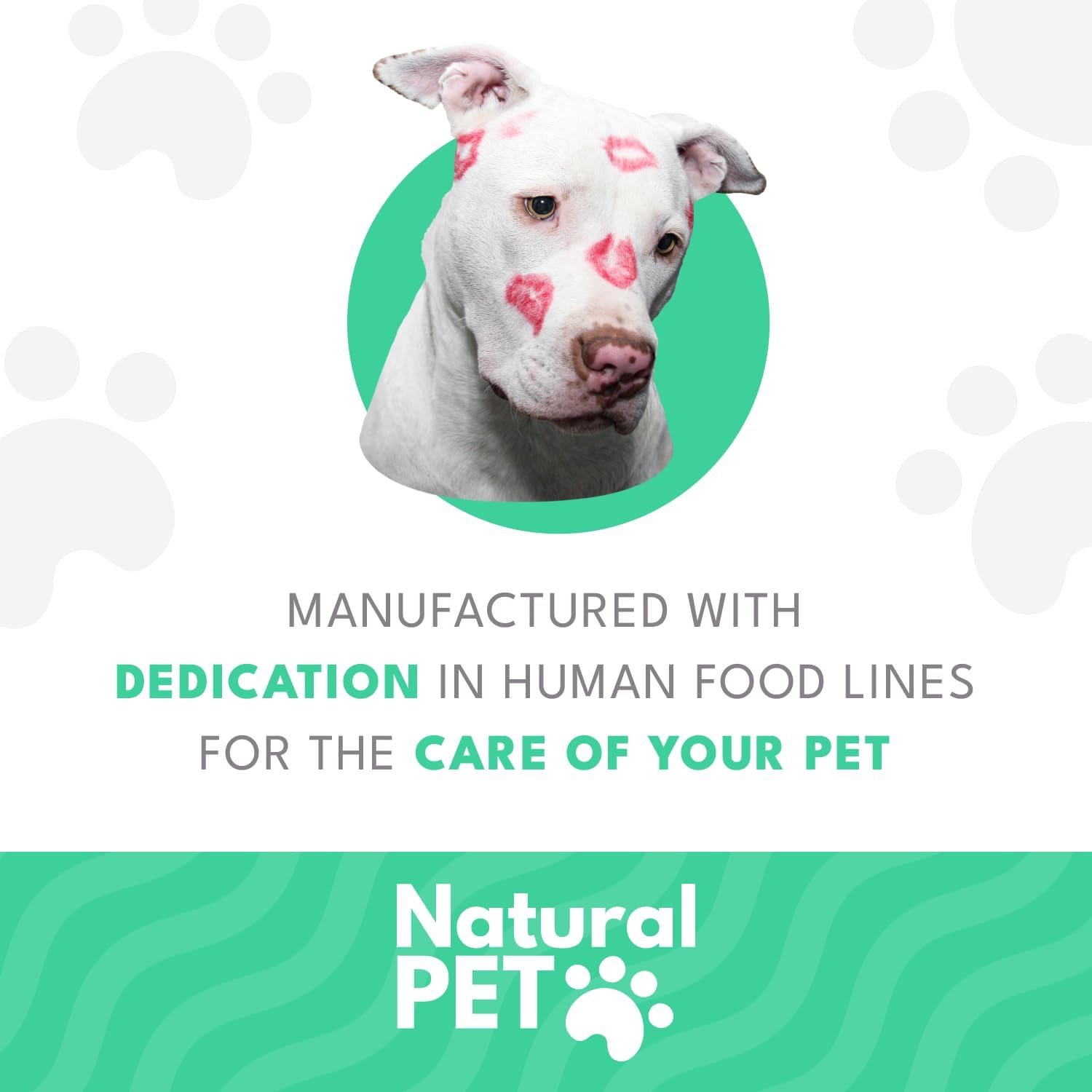 Natural PET Biodent Complemento Nutricional para Perros, Sabor Pollo y Finas Hierbas, 30 Sobres