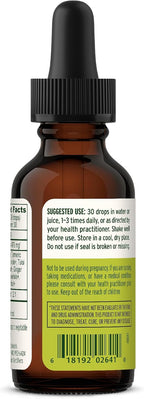 Banyan Botanicals I Travel Well Liquid Extract - Travel Immune Support - with Ashwagandha and Ginger - 30 ml (1 fl. oz.) - Organic, Vegan