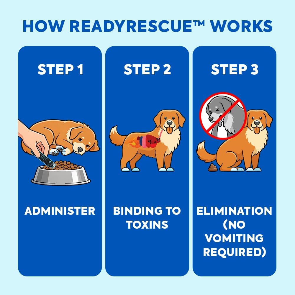 READYRESCUE Microesferas de Carbón Activado para Perros y Gatos - Kit esencial de primeros auxilios para mascotas - Aglutinante de veneno de acción rápida - Seguro y listo para llevar - 30g Pack de 12