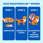 READYRESCUE Microesferas de Carbón Activado para Perros y Gatos - Kit esencial de primeros auxilios para mascotas - Aglutinante de veneno de acción rápida - Seguro y listo para llevar - 30g Pack de 12