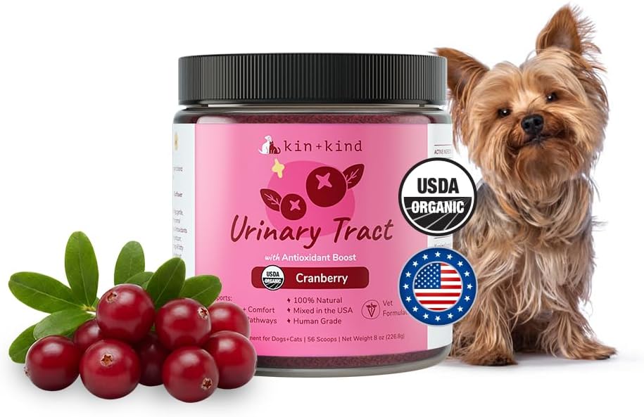 kin+kind Suplemento de apoyo inmunológico para perros y gatos - 227 g (8 oz)