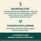NEURIVA Plus Complemento para Memoria, Enfoque y Concentración con Neurofactor y Fosfatidilserina, Vitaminas B6 y B12, 60 Cápsulas (2 Paquetes de 30)