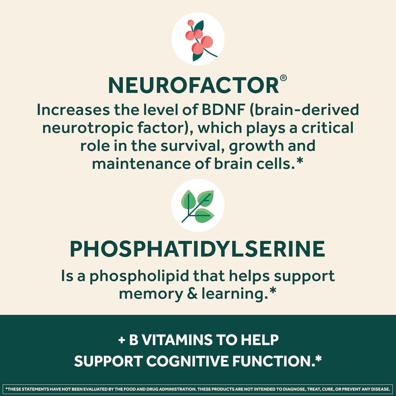 NEURIVA Plus Complemento para Memoria, Enfoque y Concentración con Neurofactor y Fosfatidilserina, Vitaminas B6 y B12, 60 Cápsulas (2 Paquetes de 30)