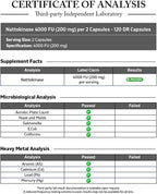 Vitamatic Nattokinase Supplement 4,000 FU, 120 Cápsulas de Liberación Retardada