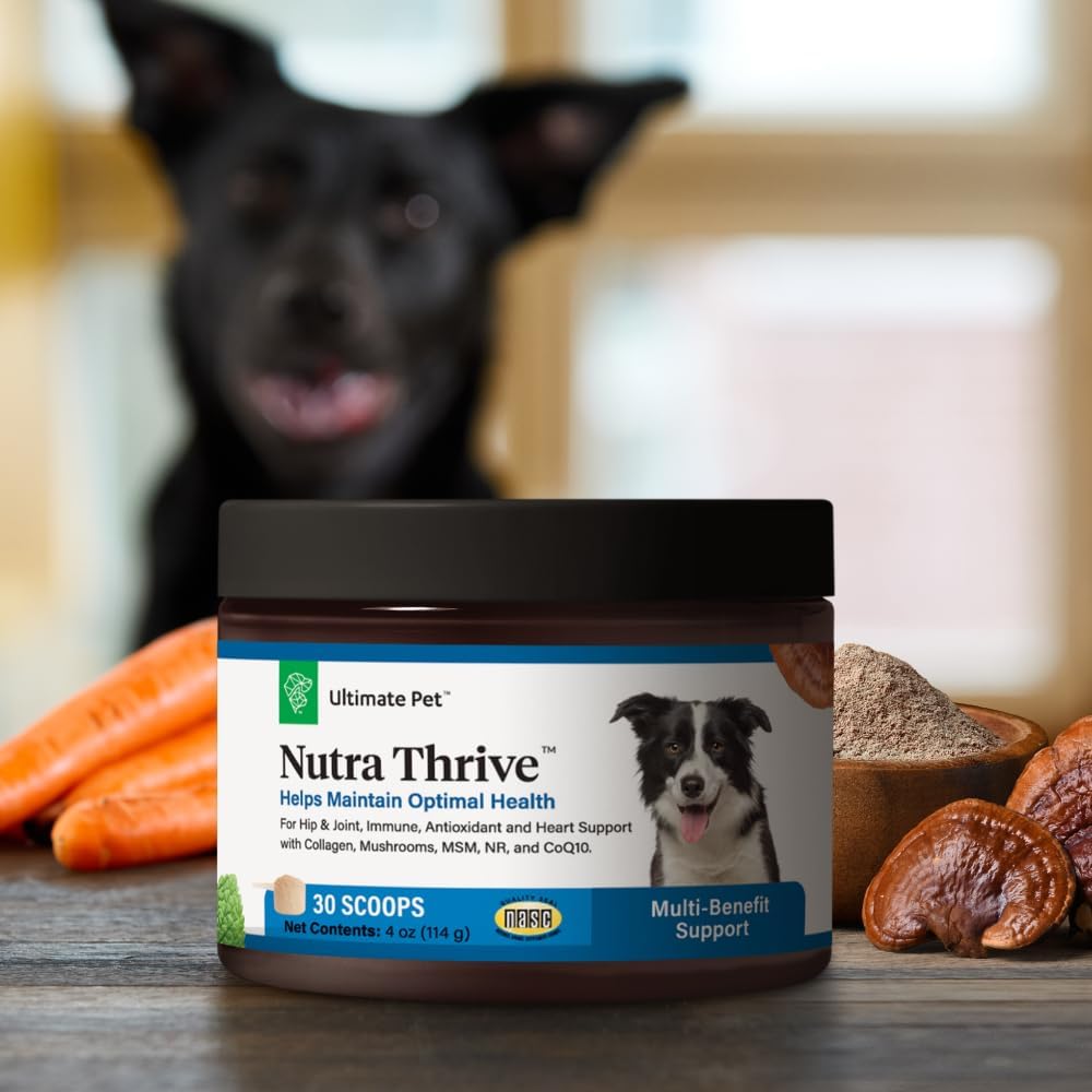 Ultimate Pet Nutrition Nutra Thrive Canine, Suplemento Nutricional en Polvo 40-en-1 para Perros