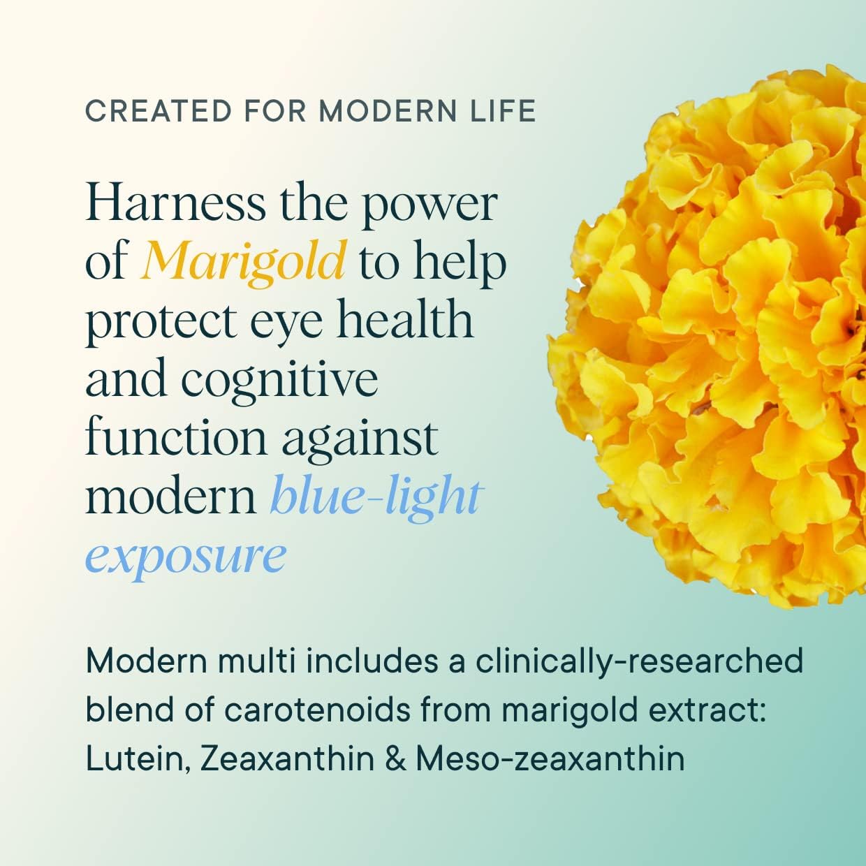 Ora Organic Modern Multi Multivitamínico Vegetal para Mujeres y Hombres, Protección Luz Azul – Apoyo para Cerebro, Ojos, Energía, Inmunidad, Piel, Cabello, Corazón y Huesos, 60 Cápsulas Veganas