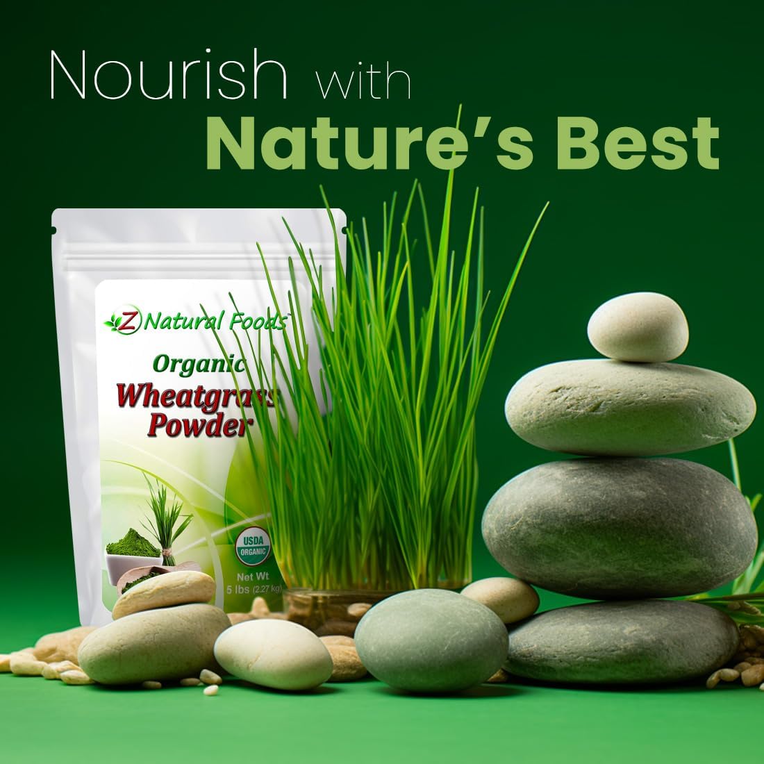 Polvo de Hierba de Trigo Orgánico - 5 Libras - 100% Puro, Crudo, No Transgénico, Vegano - Superalimento Verde para Batidos, Zumos y Recetas - Fuente de Proteína Vegetal Natural
