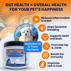 Probióticos liofilizados para perros - Apoya la salud digestiva, piel, alergias e inmunidad - con enzimas digestivas, omega-3, zinc y prebióticos - 120 masticables sabor pollo