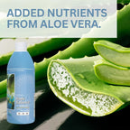 Youngevity Body Balance Land & Sea Nutrición Vegetal - 75+ Nutrientes (32 fl oz, Pack de 6)