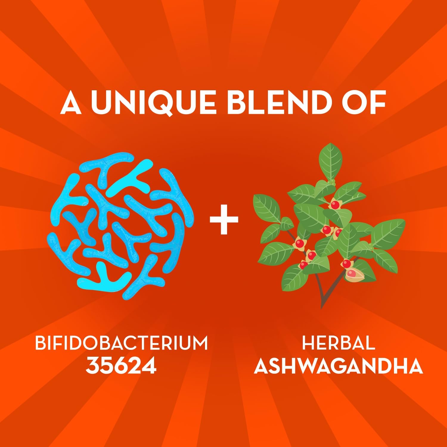 Align Probiótico Digestivo + Estrés con Ashwagandha, 21 Cápsulas