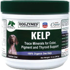 Dogzymes Alga Noruega Orgánica para Perros - 340 g
