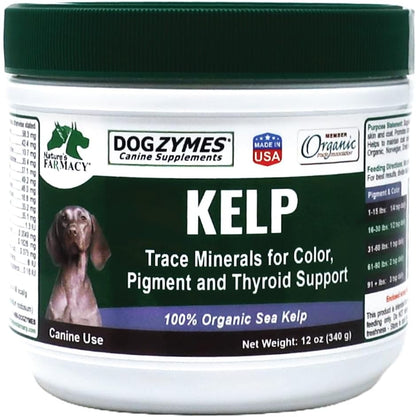 Dogzymes Alga Noruega Orgánica para Perros - – Perros pequeños (menos de 10 kg): 1/4 de cucharadita al día. – Image 1