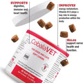 CobalaVet Vitaminas B12 y B9 para Perros y Gatos Pequeños - 60 Masticables