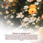 Nootropics Depot Apigenina Cápsulas | 200mg | 30 Unidades | >98% Pureza