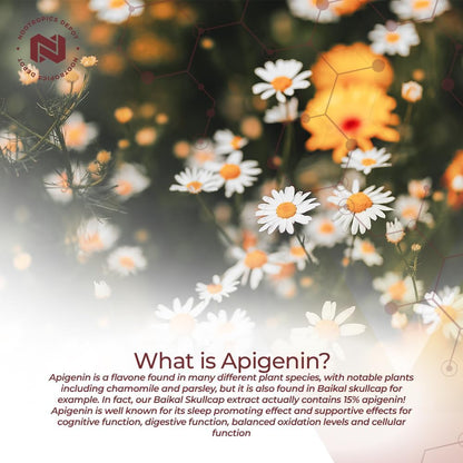 Nootropics Depot Apigenina Cápsulas | 50mg | 60 Cápsulas | >98% Apigenina | Favorece la Relajación, la Salud Articular y los – Image 4